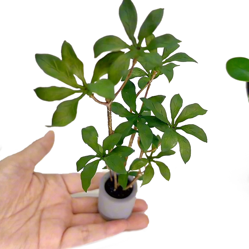 1:6 인형의 집 미니어처 화분 모델, 녹색 잎 식물  - Bonsai Garden Pot 리뷰 및 가격