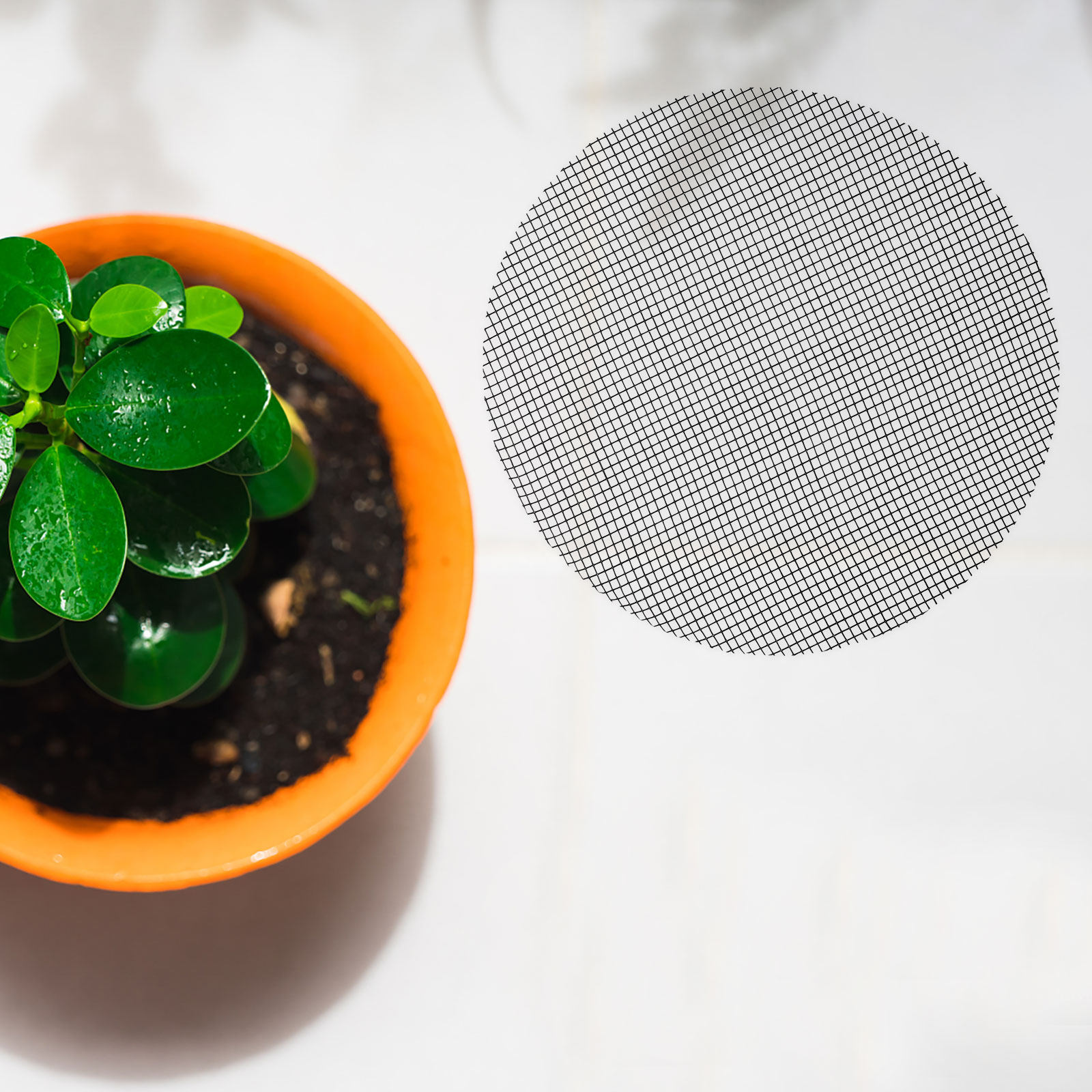 50개 꽃 화분 구멍 메쉬 패드 원형 배수망 플라스틱  - Bonsai Garden Pot 리뷰 및 가격