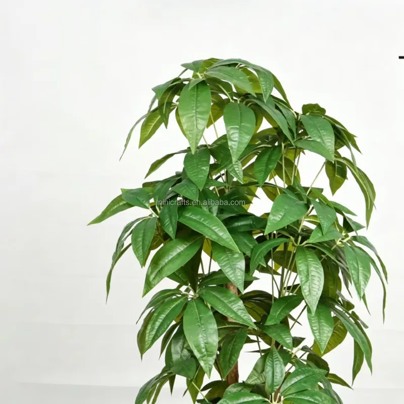 북유럽 스타일 실내 장식 분재 인조 화분 머니트리 홈  - Bonsai Garden For Sale 리뷰 및 가격