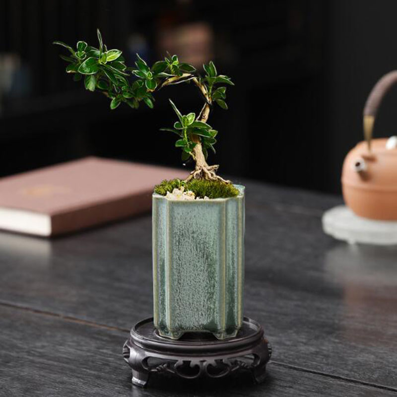 도자기 광장 청자 유약 난초 화분 분재 꽃병 식물 냄비 - Bonsai Garden Art 리뷰 및 가격