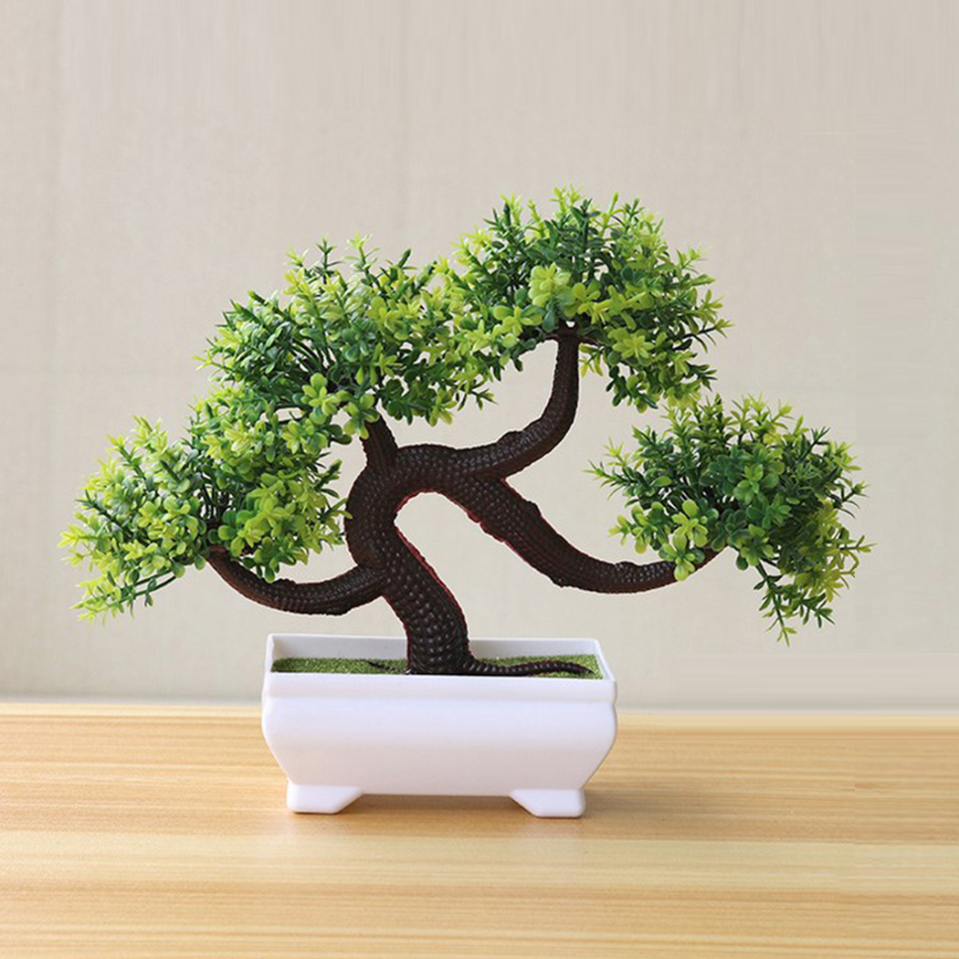 실내 장식용 분재 화분 - 거실, 침실, 사무실, 주방 - Bonsai Garden Backyard 리뷰 및 가격