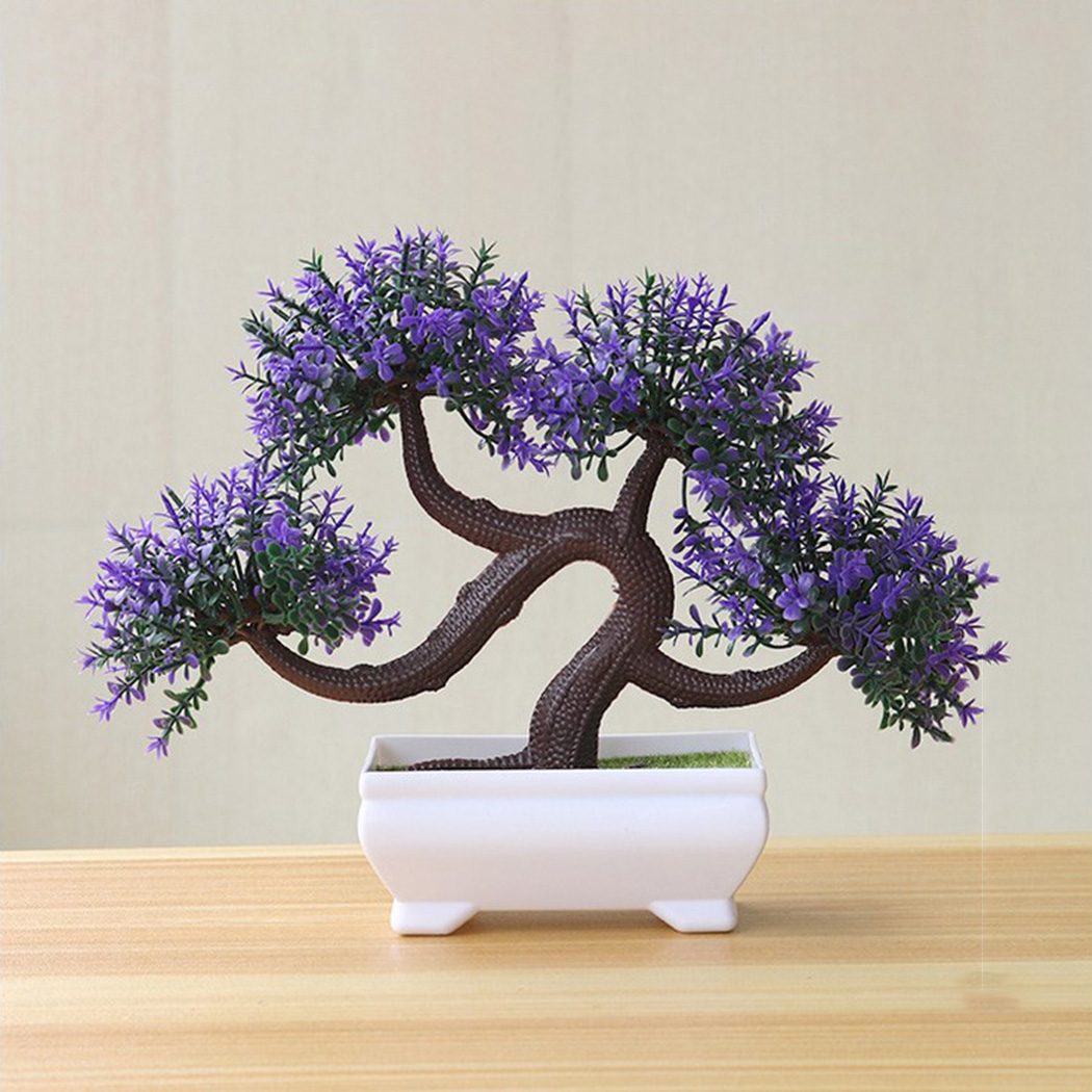 실내 장식용 분재 화분 - 거실, 침실, 사무실, 주방 - Bonsai Garden Backyard 리뷰 및 가격
