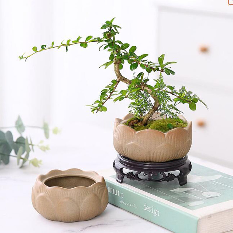 굵은 도자기 연꽃 녹색 식물 화분, 통기성 꽃병 분재  - Bonsai Garden Art 리뷰 및 가격
