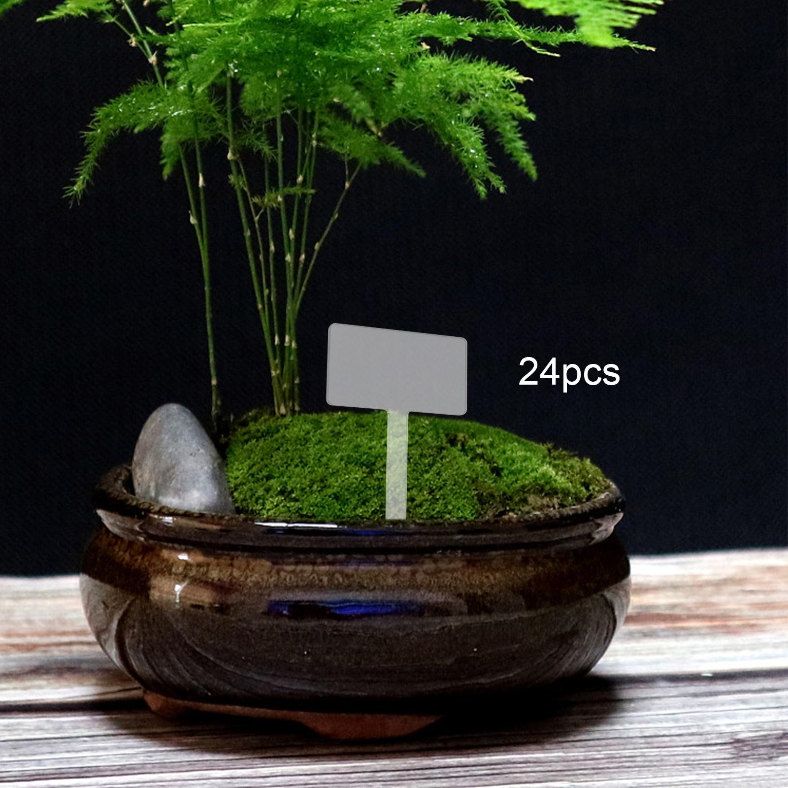 24x 아크릴 식물 태그 식물 이름표, 재사용 가능한  - Bonsai Garden Name 리뷰 및 가격